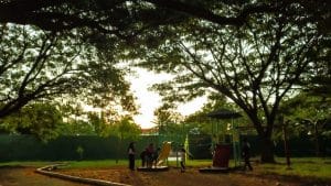 Komunitas Pecinta Hewan di Blang Padang, Banda Aceh, Edukasi Pengunjung tentang Kucing dan Reptil