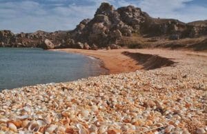 Pengusaha Aceh, RM, Menjelaskan Tudingan Penipuan Terhadap Pengusaha Brasil