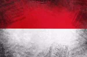 Kesiapan Indonesia Menghadapi Pemimpin Baru: Isu, Tantangan, dan Solusi