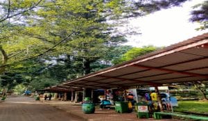 Libur Panjang Idul Adha: Ribuan Pengunjung Padati Taman Margasatwa Ragunan dengan Tertib dan Aman