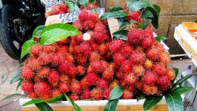 Rambutan Aceh (Pinterest)