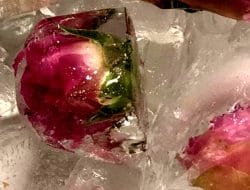 Rahasia Membersihkan Bunga Es Freezer Tanpa Matikan Kulkas, Hanya dalam Satu Jam