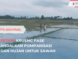 Petani Krueng Pase Andalkan Pompanisasi dan Hujan