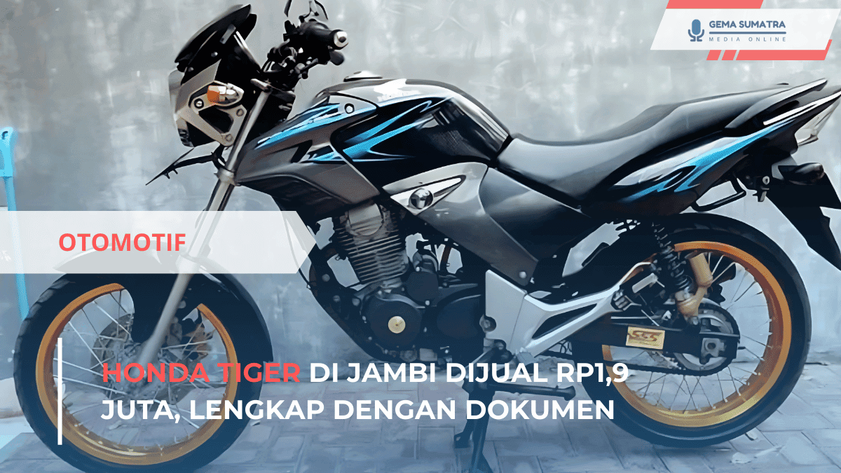 Ket foto: Honda Tiger (Sumber Foto: Pinterest/Riko Anto)
