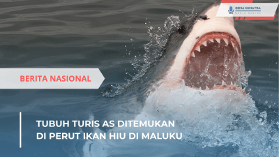 Tubuh Turis AS Ditemukan di Perut Ikan Hiu di Maluku