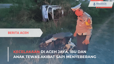 Ibu dan Anak Tewas Akibat Sapi Menyeberang di Aceh Jaya