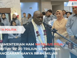 Kementerian HAM Butuh Rp 20 Triliun, Kata Natalius Pigai
