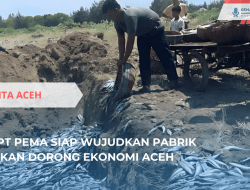 PT PEMA Bangun Pabrik Ikan, Dorong Ekonomi Aceh