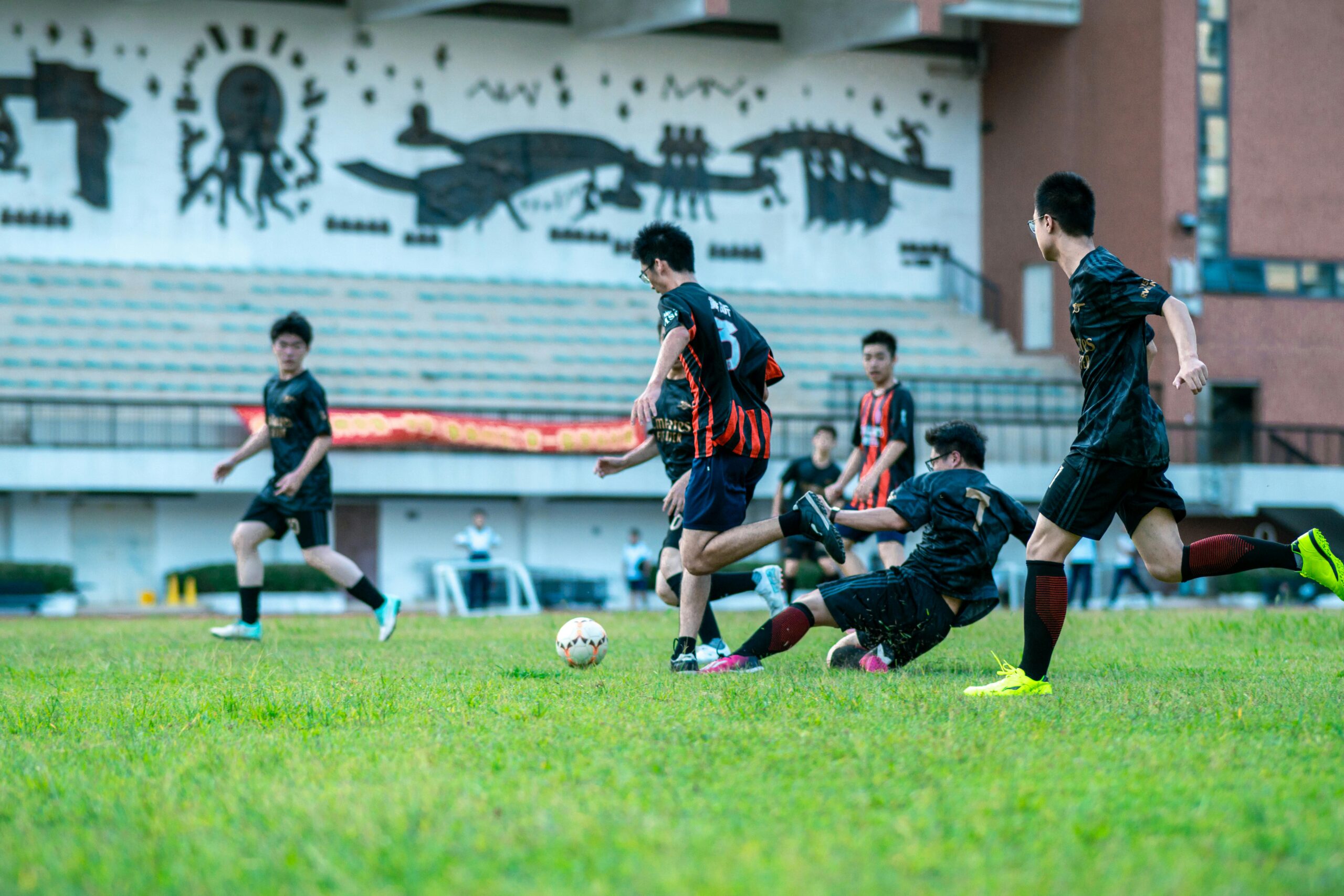 Sepakbola (晓鸟 蓝)