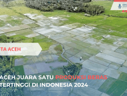 Aceh Juara Satu Kenaikan Produksi Beras 2024