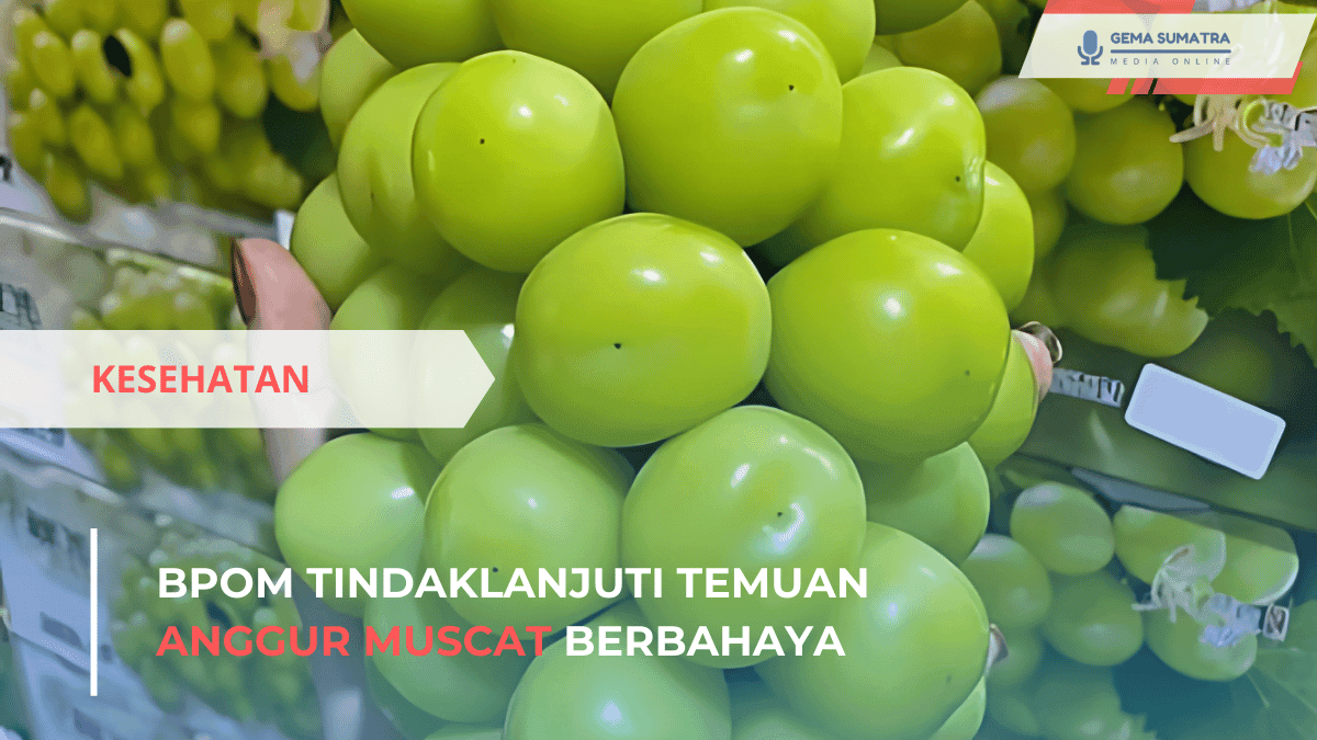 Ket foto: Anggur Muscat (Sumber Foto: Pinterest)