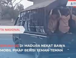 Bocah SD di Pamekasan Bawa Mobil Pikap Teman Sekolah