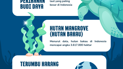 Infografis Gema Sumatra Kekayaan Laut Indonesia