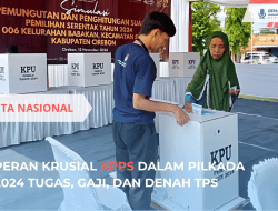 KPPS Menjaga Sukses Pilkada 2024 Tugas, Gaji, dan Denah TPS