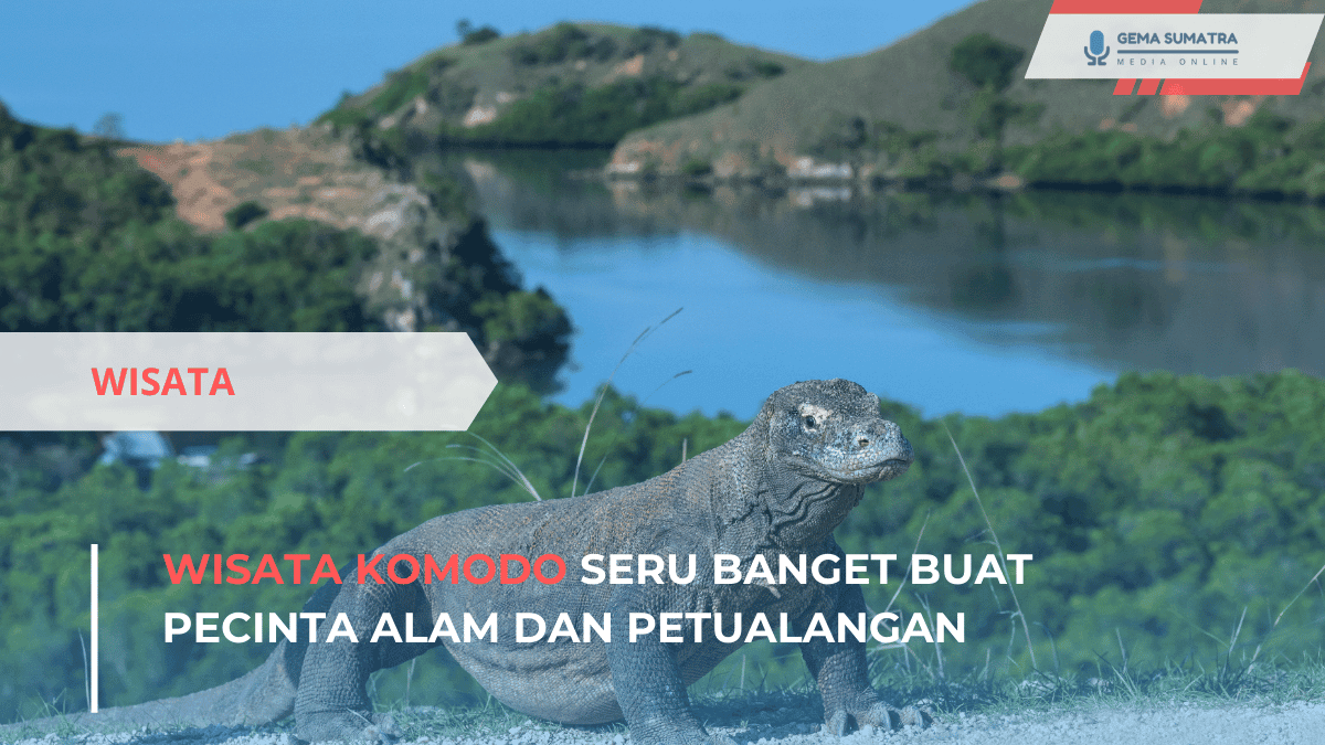 Wisata Komodo Seru Banget Buat Pecinta Alam dan Petualangan (Sumber foto: Canva)
