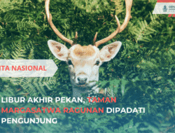 Libur Akhir Pekan, Taman Margasatwa Ragunan Dipadati Pengunjung