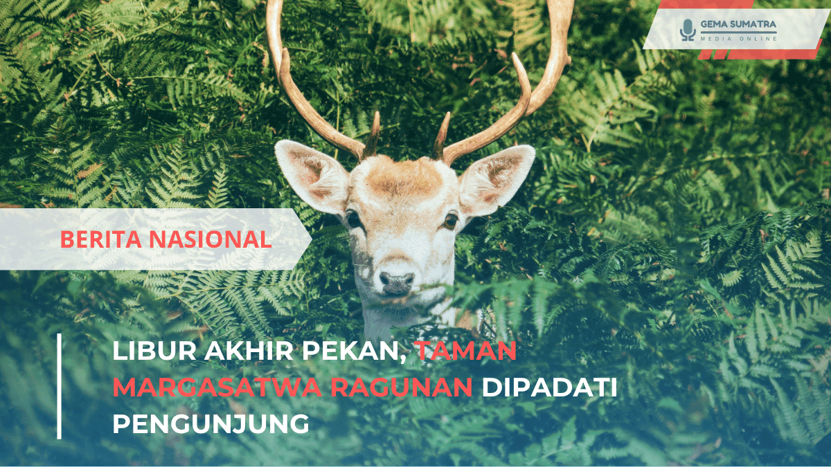 Libur Akhir Pekan, Taman Margasatwa Ragunan Dipadati Pengunjung (*/Istimewa)