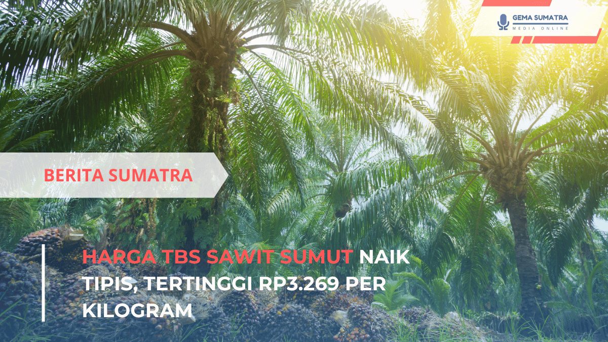 Harga TBS Sawit Sumut (*/Istimewa)