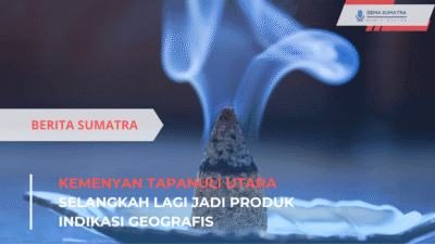 Kemenyan Tapanuli Utara (*/Istimewa)