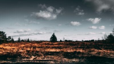 Bengkalis Pasang Plang Peringatan di Lahan Bekas Karhutla