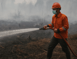 BMKG Catat 54 Hotspot di Sumatera, Riau Nihil Titik Panas