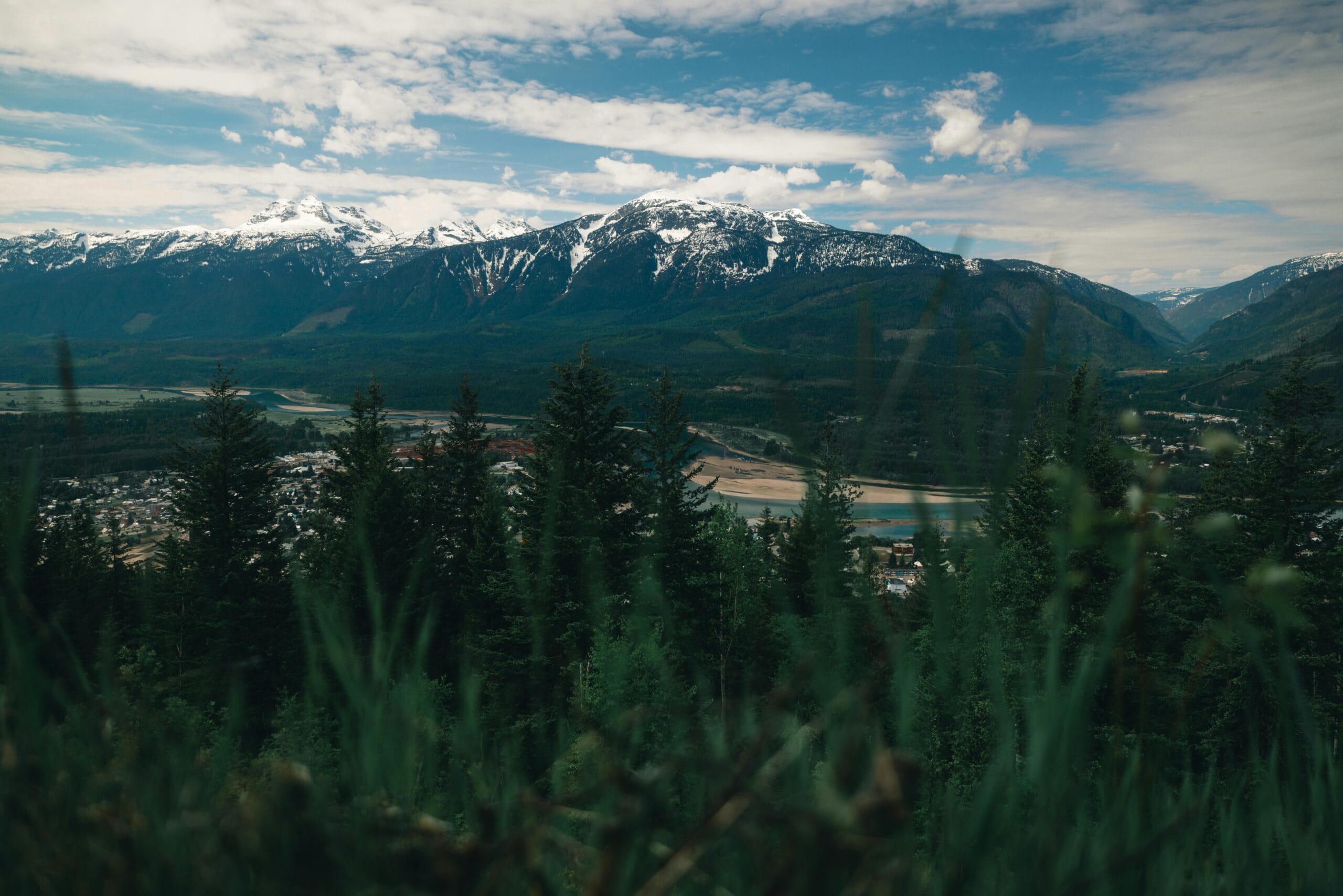 Hari Hutan Indonesia