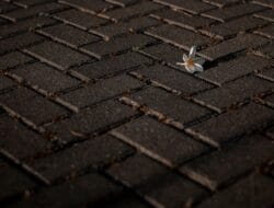 Pekanbaru Terapkan Biopori untuk Kurangi Banjir, Siapkan Kerja Sama dengan DKI