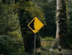 Lumpuh 10 Jam Akibat Longsor, Jalur Sumbar–Riau via Kelok 9 Kembali Normal