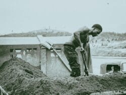 Wali Kota Medan Ajak Kelurahan Manfaatkan Lahan Tidur Jadi Produktif