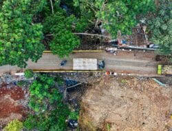 Deforestasi Lampung 315 Ribu Ha (2001–2024)