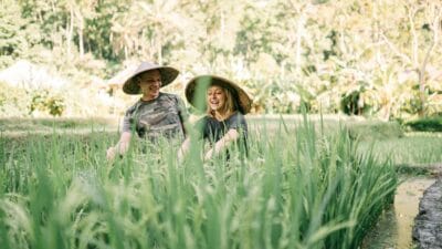 Harga Beras Cenderung Turun, SPHP Bulog Kuat di Sumatra; Cek Angka Aceh & Sumsel