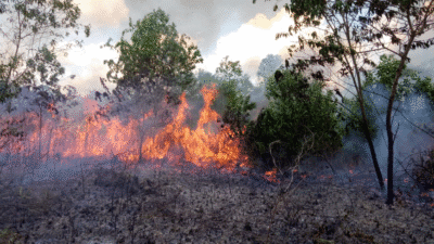 Operasi Karhutla 2025 Ditutup, Riau–Sumsel Perpanjang Status Siaga hingga November