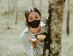 Petani Karet di Muaro Jambi Diserang Beruang, Dirawat Intensif