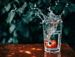 Wali Kota Padang Lantik Dewas Perumda Air Minum, Target Perbaiki Layanan