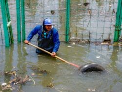 BNPB Siapkan Modifikasi Cuaca Cegah Banjir di Aceh