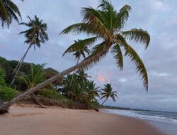 Jadwal & Tarif Feri Singkil–Pulau Banyak Hari Ini