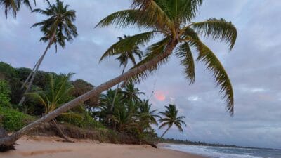 Jadwal & Tarif Feri Singkil–Pulau Banyak Hari Ini