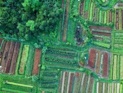 Dua Eks Pejabat BPN Sumut Ditahan Kejati Terkait Aset PTPN I