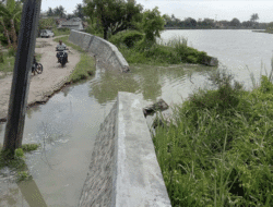 Tanggul Rp 568 Juta Jebol di Muara Seberang, Kebun Warga Tergenang