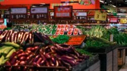 Harga Pangan Bergerak, Ini Dampaknya ke Warga Sumatra