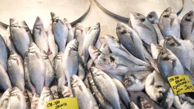 Nelayan Kurangi Melaut, Harga Ikan Naik di Aceh Singkil