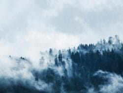 Lonjakan Titik Panas Karhutla di Sumatra Berdampak pada Kualitas Udara