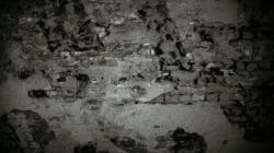 Abrasi Lhok Puuk Aceh Utara (Foto oleh Plato Terentev)