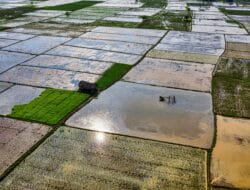 22 Daerah di Aceh Berpotensi Banjir pada November 2025