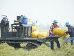 Bukittinggi Pantau Harga; Kuriak Rp 17.000/kg