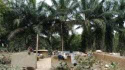 Korban banjir Sumatra 11 Desember 2025