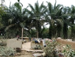 BNPB Menyebut Korban Jiwa Banjir dan Longsor Sumatra Dekati 1.000 Orang