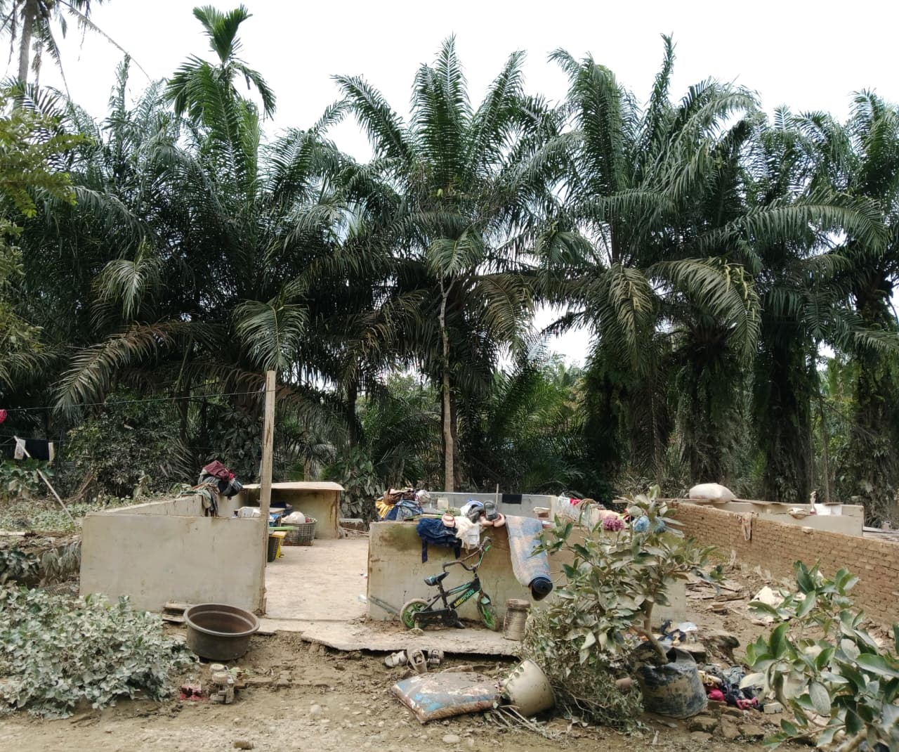 Korban banjir Sumatra 11 Desember 2025