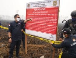 Kebun Sawit PT TBS di Tapanuli Tengah Disegel KLH Pasca Banjir