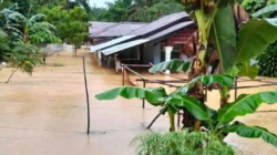 Banjir Kemuning Inhil 243 KK